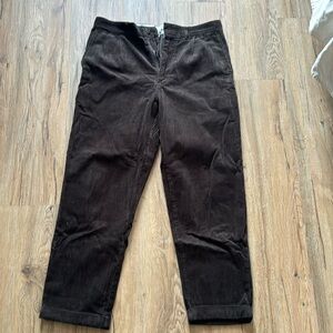 Alex Mill Standard Pleated Corduroy - size 32